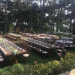 Tekbir Organizasyon Kına Organizasyon